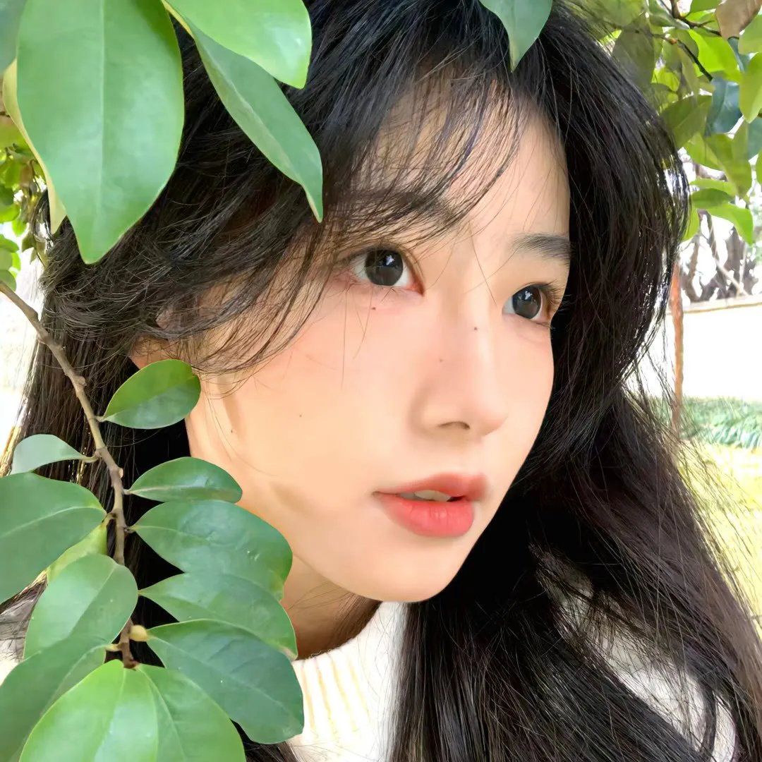 珍古德的传奇一生 海报